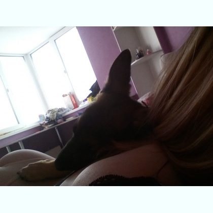 ��� �������� ���� ������� ������� 